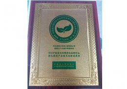 净化药剂产品技术创新成果奖